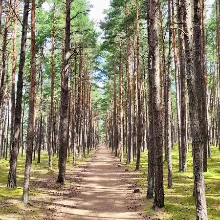 Unique Near Sea Appartement Palanga