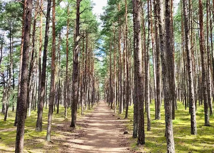 Panoramic Near 아파트 팔랑가